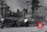 Image feu de forêt Cochran Oregon USA, 1932, de la seconde 32 séquences d'archives historiques vidéo 65675035161