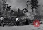 Image feu de forêt Cochran Oregon USA, 1932, de la seconde 33 séquences d'archives historiques vidéo 65675035161