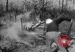 Image feu de forêt Cochran Oregon USA, 1932, de la seconde 34 séquences d'archives historiques vidéo 65675035161