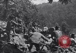 Image Bataille de Blair Mountain West Virginia United States USA, 1921, de la seconde 1 séquences d'archives historiques vidéo 65675035170