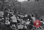 Image Bataille de Blair Mountain West Virginia United States USA, 1921, de la seconde 5 séquences d'archives historiques vidéo 65675035170
