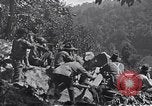 Image Bataille de Blair Mountain West Virginia United States USA, 1921, de la seconde 6 séquences d'archives historiques vidéo 65675035170