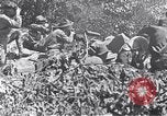 Image Bataille de Blair Mountain West Virginia United States USA, 1921, de la seconde 9 séquences d'archives historiques vidéo 65675035170