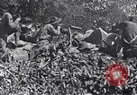 Image Bataille de Blair Mountain West Virginia United States USA, 1921, de la seconde 10 séquences d'archives historiques vidéo 65675035170