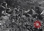 Image Bataille de Blair Mountain West Virginia United States USA, 1921, de la seconde 11 séquences d'archives historiques vidéo 65675035170