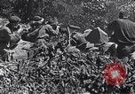 Image Bataille de Blair Mountain West Virginia United States USA, 1921, de la seconde 12 séquences d'archives historiques vidéo 65675035170