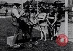 Image American women Venice Beach Los Angeles California USA, 1917, de la seconde 15 séquences d'archives historiques vidéo 65675035192