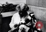 Immagine di La donna cuce Allied bandiera coperta per Pershing compleanno Chicago Illinois USA, 1917, secondo 10 filmato di repertorio 65675035206