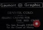 Image of Livestock sale to benefit Red Cross  Denver Colorado USA, 1917, second 1 stock footage video 65675035208