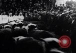 Image of Livestock sale to benefit Red Cross  Denver Colorado USA, 1917, second 9 stock footage video 65675035208