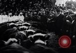 Image of Livestock sale to benefit Red Cross  Denver Colorado USA, 1917, second 10 stock footage video 65675035208