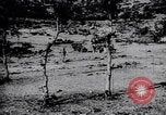 Standbild Fürst Alexander I Serbien, 1913, aus Sekunde 5 historischem Filmmaterial Videoclip 65675035209