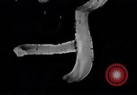 Image of Second Balkan War medical tent Austria-Hungary, 1913, second 41 stock footage video 65675035211