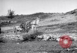 Image of Red Cross horse carts Austria-Hungary, 1913, second 19 stock footage video 65675035212
