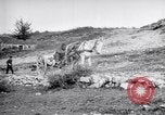 Image of Red Cross horse carts Austria-Hungary, 1913, second 20 stock footage video 65675035212