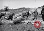 Image of Red Cross horse carts Austria-Hungary, 1913, second 31 stock footage video 65675035212