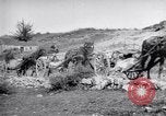 Image of Red Cross horse carts Austria-Hungary, 1913, second 34 stock footage video 65675035212