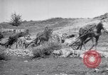 Image of Red Cross horse carts Austria-Hungary, 1913, second 35 stock footage video 65675035212