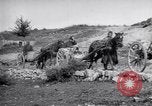 Image of Red Cross horse carts Austria-Hungary, 1913, second 38 stock footage video 65675035212