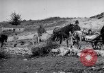 Image of Red Cross horse carts Austria-Hungary, 1913, second 41 stock footage video 65675035212