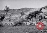 Image of Red Cross horse carts Austria-Hungary, 1913, second 42 stock footage video 65675035212