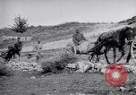 Image of Red Cross horse carts Austria-Hungary, 1913, second 43 stock footage video 65675035212
