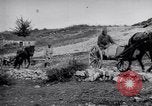 Image of Red Cross horse carts Austria-Hungary, 1913, second 44 stock footage video 65675035212