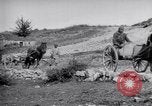 Image of Red Cross horse carts Austria-Hungary, 1913, second 45 stock footage video 65675035212