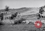 Image of Red Cross horse carts Austria-Hungary, 1913, second 46 stock footage video 65675035212