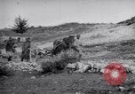 Image of Red Cross horse carts Austria-Hungary, 1913, second 48 stock footage video 65675035212
