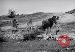 Image of Red Cross horse carts Austria-Hungary, 1913, second 50 stock footage video 65675035212
