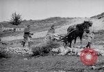 Image of Red Cross horse carts Austria-Hungary, 1913, second 51 stock footage video 65675035212