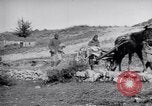 Image of Red Cross horse carts Austria-Hungary, 1913, second 52 stock footage video 65675035212