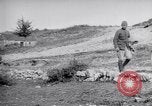 Image of Red Cross horse carts Austria-Hungary, 1913, second 56 stock footage video 65675035212