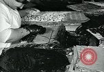 Standbild Chocolate Factory United States USA, 1921, aus Sekunde 21 historischem Filmmaterial Videoclip 65675035220