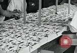 Standbild Chocolate Factory United States USA, 1921, aus Sekunde 34 historischem Filmmaterial Videoclip 65675035220