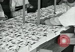 Standbild Chocolate Factory United States USA, 1921, aus Sekunde 35 historischem Filmmaterial Videoclip 65675035220