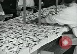 Standbild Chocolate Factory United States USA, 1921, aus Sekunde 37 historischem Filmmaterial Videoclip 65675035220