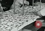 Standbild Chocolate Factory United States USA, 1921, aus Sekunde 39 historischem Filmmaterial Videoclip 65675035220
