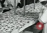 Standbild Chocolate Factory United States USA, 1921, aus Sekunde 48 historischem Filmmaterial Videoclip 65675035220