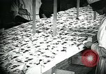 Standbild Chocolate Factory United States USA, 1921, aus Sekunde 50 historischem Filmmaterial Videoclip 65675035220