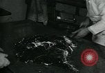 Image Chocolate Factory United States USA, 1921, de la seconde 43 séquences d'archives historiques vidéo 65675035221