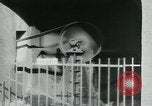 Standbild Bergleute United States USA, 1923, aus Sekunde 37 historischem Filmmaterial Videoclip 65675035230