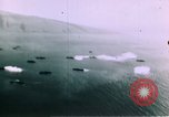 Image of United States Marines Eniwetok Atoll Marshall Islands, 1944, second 50 stock footage video 65675035292