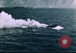 Image of United States Marines Eniwetok Atoll Marshall Islands, 1944, second 53 stock footage video 65675035292