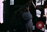 Image officiers de marine des États-Unis Saipan Îles Mariannes du Nord, 1944, de la seconde 52 séquences d'archives historiques vidéo 65675035294