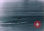 Image of US Marines Saipan Northern Mariana Islands, 1944, second 14 stock footage video 65675035297