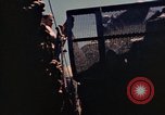 Image of United States Marines Saipan Northern Mariana Islands, 1944, second 50 stock footage video 65675035302