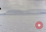 Image of US Marines Saipan Northern Mariana Islands, 1944, second 34 stock footage video 65675035304