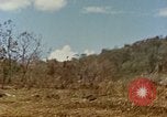 Image zone forestière Saipan Îles Mariannes du Nord, 1944, de la seconde 6 séquences d'archives historiques vidéo 65675035307